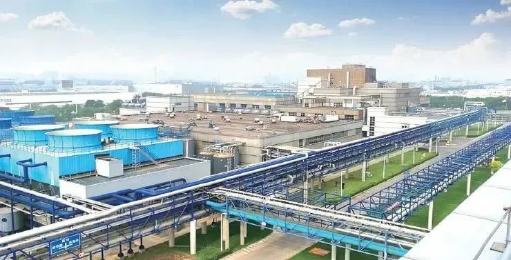 泰達組團參加2024夏季達沃斯 生物技術研發領域收獲滿滿